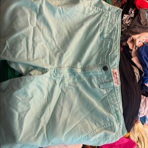 Light Green Casual Shorts